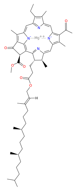 Clorofila a. Fuente: Wikimedia Commons